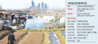 서울시-강남구, 구룡마을 개발방식 충돌