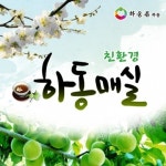 [2013대표브랜드] 하동, 전국 최대의 친환경 매실 주산지