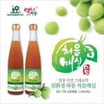 [2013대표브랜드] 섬진강 줄기따라 천혜의 자연조건을 갖춘 처음매실