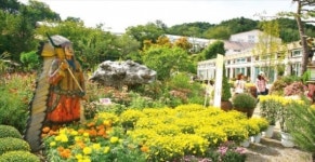 [Travel] 화려한 꽃·향긋한 허브…포천의 봄은 오감을 자극한다