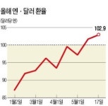 엔저 공포 지나치게 과장됐다