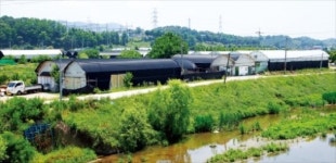 [보금자리지구 출구전략 스타트] 4년째 표류 광명·시흥부터 수술…하반기 나머지 지구로 확대