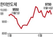 [마켓인사이트] 페이팔 창업자 억만장자 피터 티엘, 한미반도체 무엇에 반했나