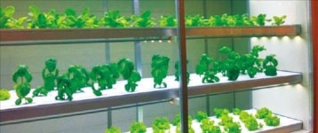 내 집앞 텃밭·실내 수경재배…아파트가 농장도 제공하네