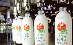 [2013 프리미엄브랜드지수(KS-PBI)] 서울우유협동조합서울우유, 제조일자 표기제  등 신선도 기준 확립