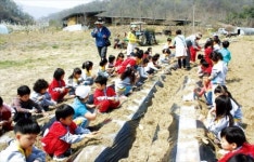 [Farm Stay] 경북 승곡마을, 천연 염색 체험·손두부 만들기…시골 인심은 덤