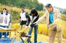 [Farm Stay] 충남 내이랑마을, 유기농 토마토 가꾸고 농기구 박물관 견학