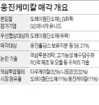 웅진케미칼 기술유출 논란…매각 변수