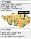 [건강한 인생] 세계가 인정한 이중코팅 프로바이오틱스…유럽시장 석권