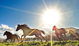 기업가 정신, 지축을 흔들어라