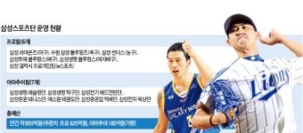 1등 삼성, 스포츠도 1등으로…프로·아마 13팀 年800억 투자
