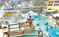 올 설엔 테마파크·리조트서 함께 누려~