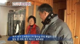 tv 동물농장 복실이, 향수병에 시달려 주인도 멀리해 속상