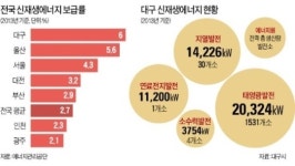 솔라 대구…신재생에너지 기업만 1650곳