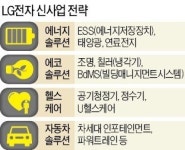 [단독] LG의 미래 에너지·에코·헬스·車…전자 핵심사업 B2B 위주로 전환