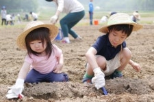 샘표, 유기농 콩농장 체험 가족·유치원 모집
