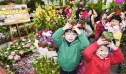 농협유통, 새봄맞이 화훼축제