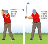인-아웃 하려면 왼쪽어깨를 볼 뒤로…다운스윙 때 등이 타깃으로 향해야
