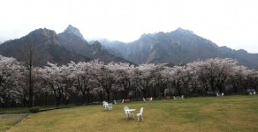 이랜드 켄싱턴 스타호텔, 봄 힐링 패키지 출시