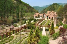 제이드가든, 2014 가드닝 프로그램(GIY) 실시