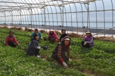 에코빌리지 산청 마근담마을 ‘인기몰이’
