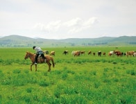 이색 여행 2選, 美 서부개척시대 보안관 놀이할까…中 초원에서 말 달릴까