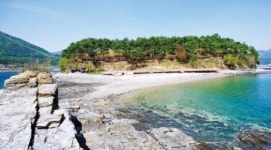 편백숲서 상쾌한 풍욕체험…부모님도 걷기 편한 더늠길