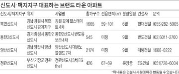신도시·택지지구 브랜드타운 후속작 눈길