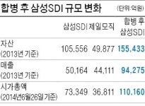 시총 11조 '삼성SDI+제일모직' 얼마 갈까