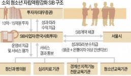 더에스비투자자문 | [마켓인사이트] 대우證, 국내 첫 SIB 투자자로