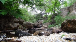 여름 휴가 힐빙 1번지, 느랭이골 자연리조트