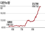 '부업'으로 몸값 높이는 종목들