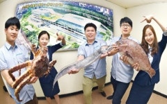 일,이,삼행운수산 | 노량진수산시장, 2227억 들여 '현대화'…글로벌 입맛 잡는다