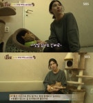 동물농장 배다해, 거식증 고양이 살려냈다…무슨 사연?