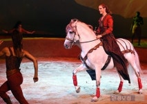 [포토] 카발리아 우아함 자태 뽐내는 말