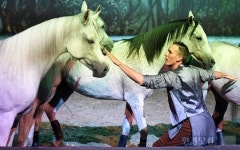 [포토] 카발리아 말과 사람의 교감