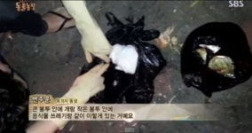 동물농장 시월이, 음식물 쓰레기통에 버려진 모습이…처참