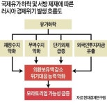 [강현철의 시사경제 뽀개기] 자원부국의 역설…국제유가 급락으로 경제위기에 몰린 러시아