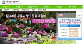 국립자연휴양림, 11일 선착순 예약 개시…접수하려면