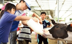 [착한 기업 착한 경영] 동국제강, 전국 사업장서 지역밀착형 자원 봉사활동