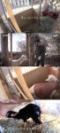삼시세끼 잭슨, 아기 염소 두 마리 출산…뭉클한 감동