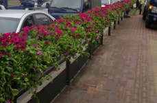 동대문구, 버스정류장 꽃길 조성…3km 걸이화분