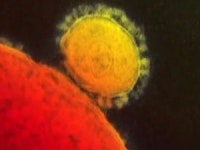 메르스 바이러스 감염자, 2명 추가 발생…출국까지 공포 확산