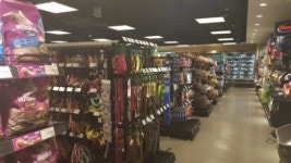 이름뿐인 충무로 애견거리 쇠락의 길로 … 대형숍에선 프렌치 불독 비숑 프리제 인기 상한가