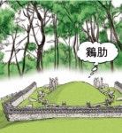 [풍수로 보는 재테크] 분묘가 계륵이 된 사연