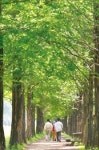 경복궁 효자로·남산공원·월드컵공원…서울 도심속 시원한 나무 그늘