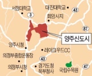 윗목까지 뜨뜻해진 부동산…양주신도시 땅 속속 팔린다