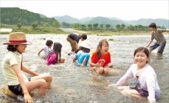 [팜스테이] 돌 밑에 숨은 올갱이 잡으며 아이와 함께 동심으로 여행