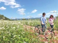 [영·수야! 놀자] 서울과학고 김국인 쌤의 재미난 수학세계-배시원 쌤의 신나는 영어여행