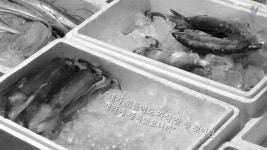[신세원의 화양연화] 아흔살 모닥불 인생…사그라지는 서울 중림시장